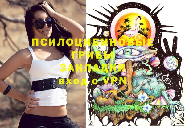 a pvp Беломорск