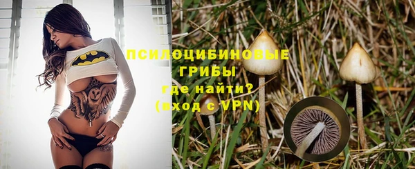a pvp Беломорск