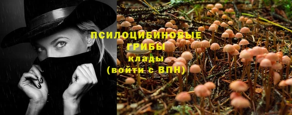 скорость Белокуриха
