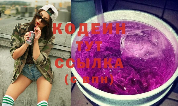 индика Балахна
