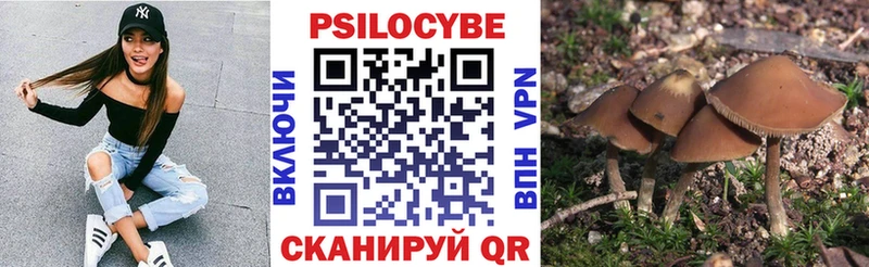 Псилоцибиновые грибы Psilocybine cubensis  где купить наркоту  Славгород 