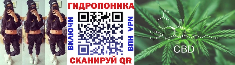 где купить   Славгород  ссылка на мегу зеркало  Канабис план 